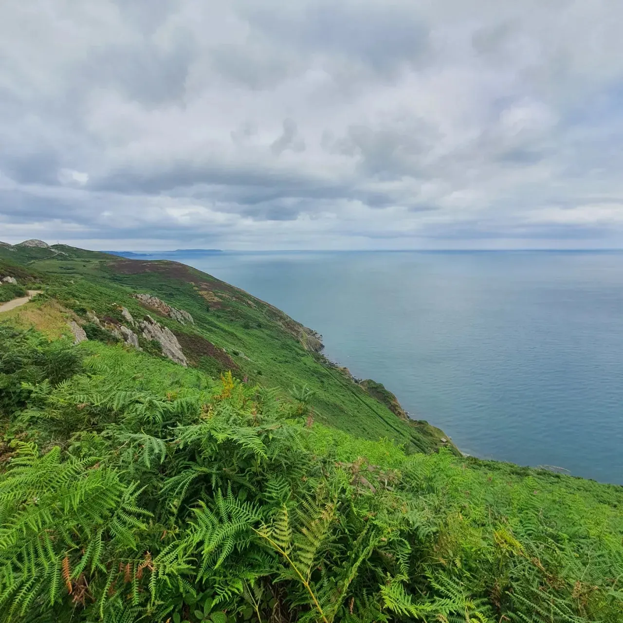 20240716%EF%BC%BF142845.jpg?type=w1600