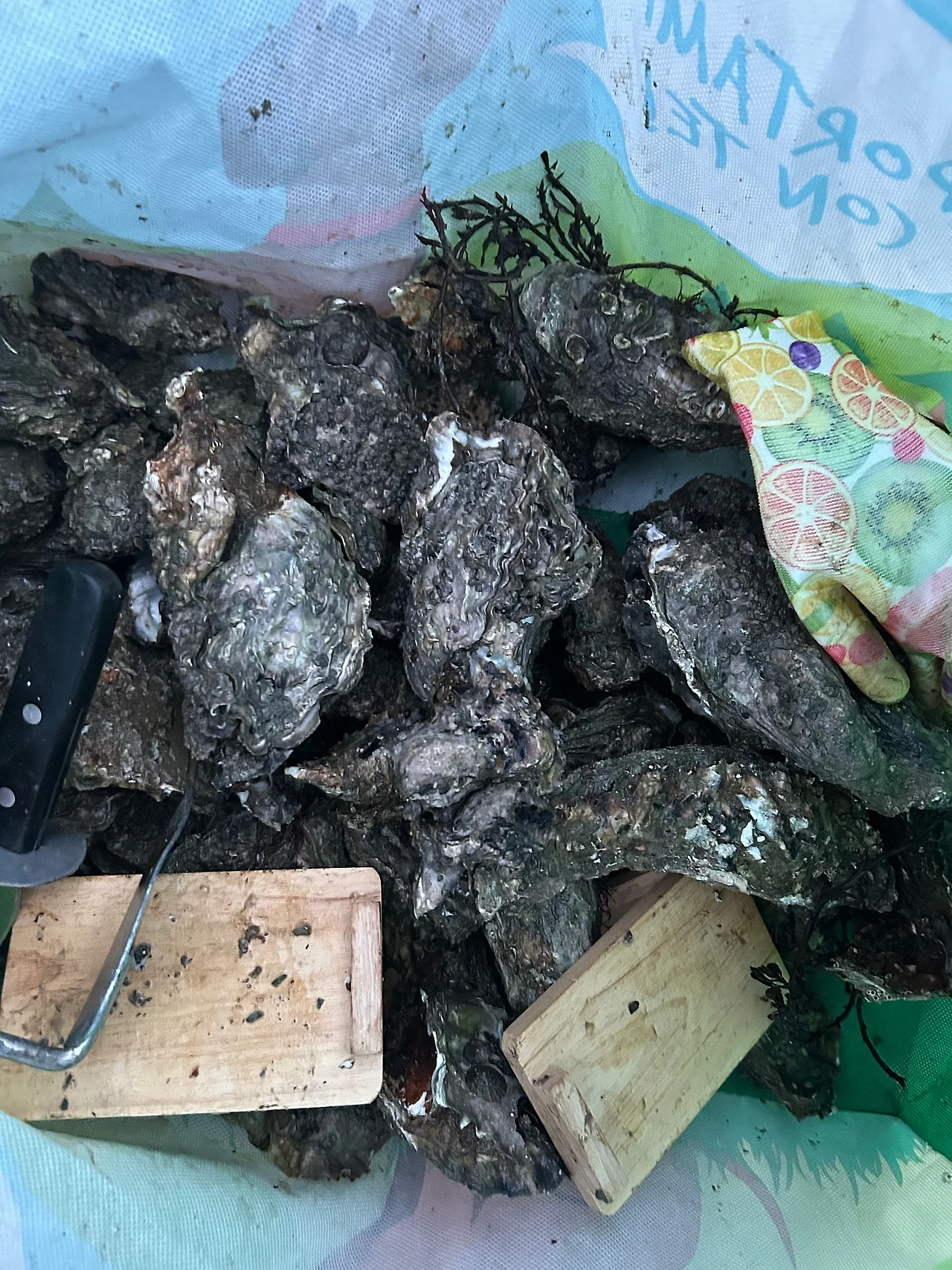 IMG_2010.jpg?type=w1600