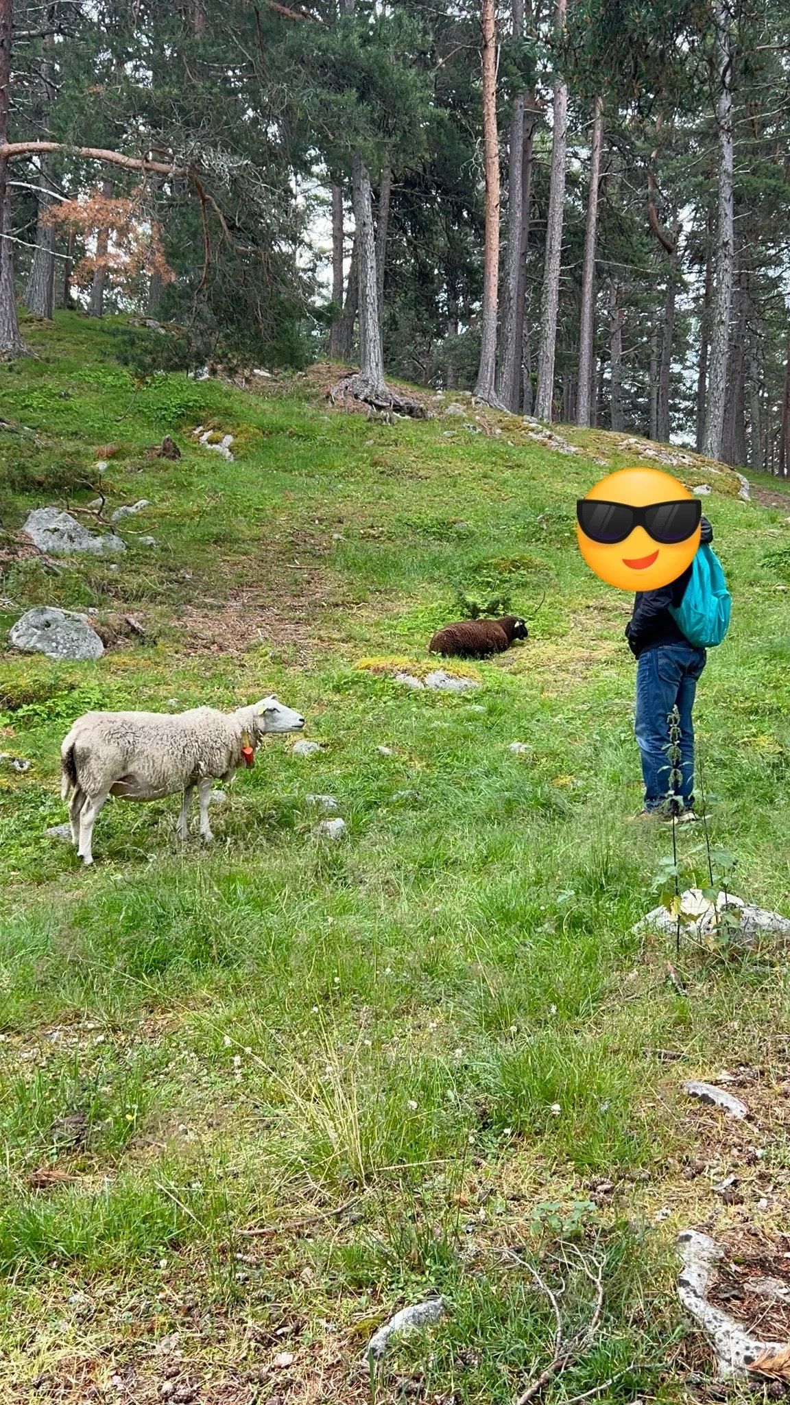 output%EF%BC%BF2795043468.jpg?type=w1600