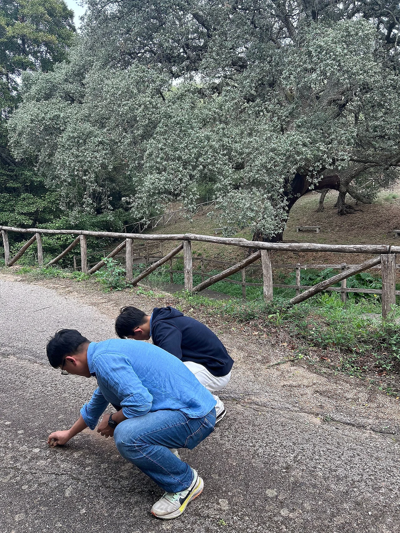 IMG%EF%BC%BF1532.jpg?type=w1600