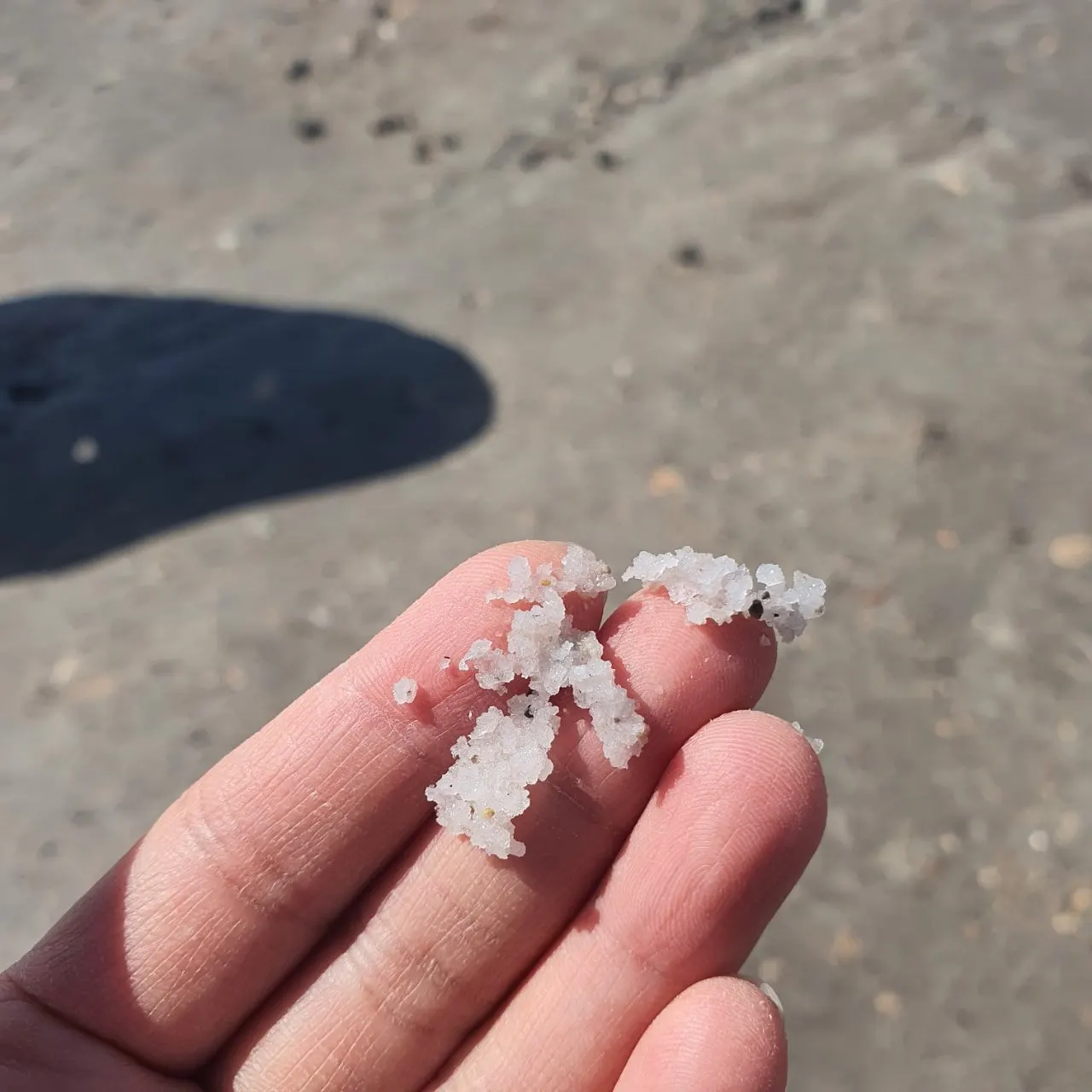 20230223%EF%BC%BF104342.jpg?type=w1600