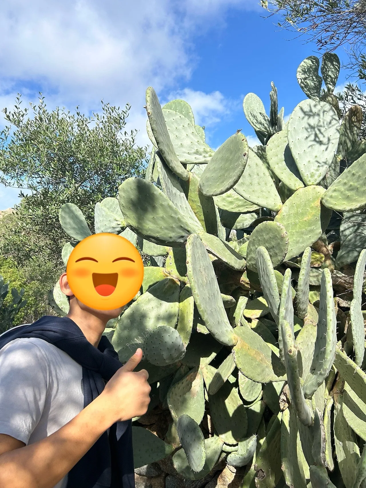 output%EF%BC%BF3253251347.jpg?type=w1600