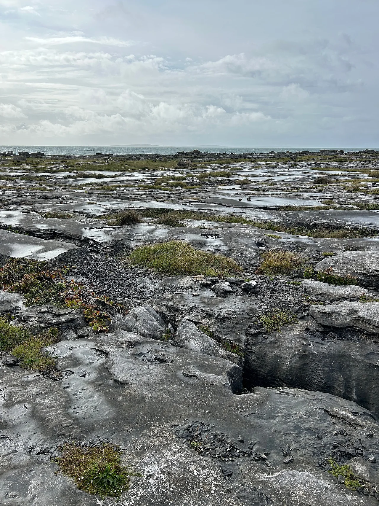 IMG%EF%BC%BF9648.jpg?type=w1600