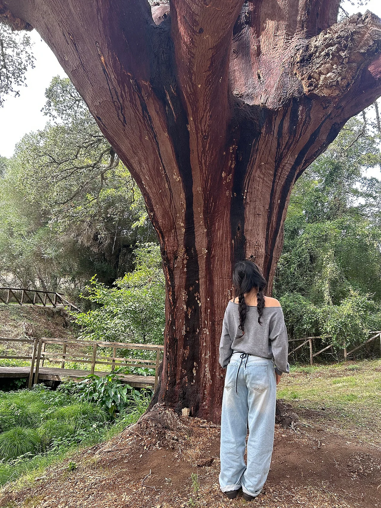 IMG%EF%BC%BF1526.jpg?type=w1600