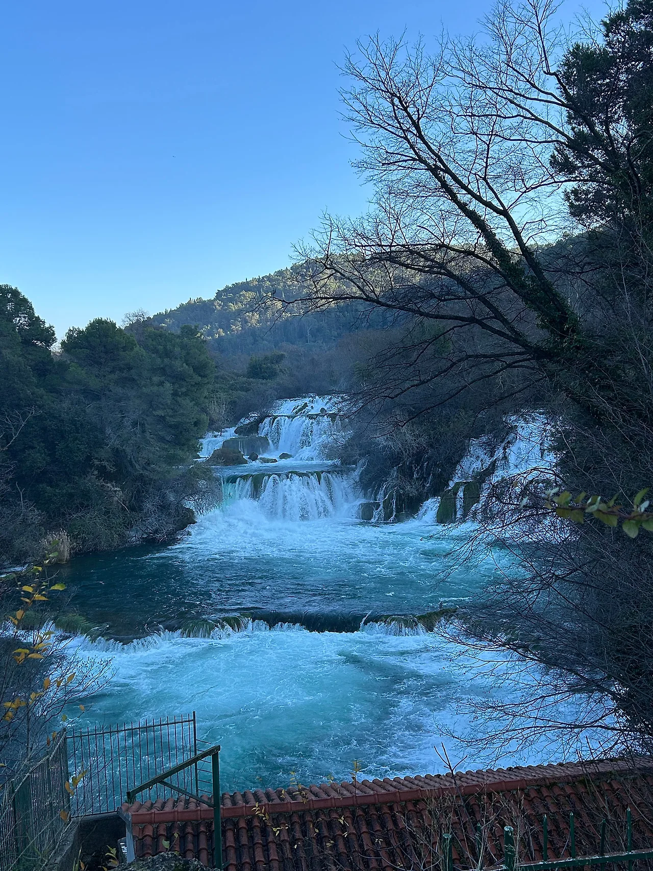 IMG_1061.jpg?type=w1600