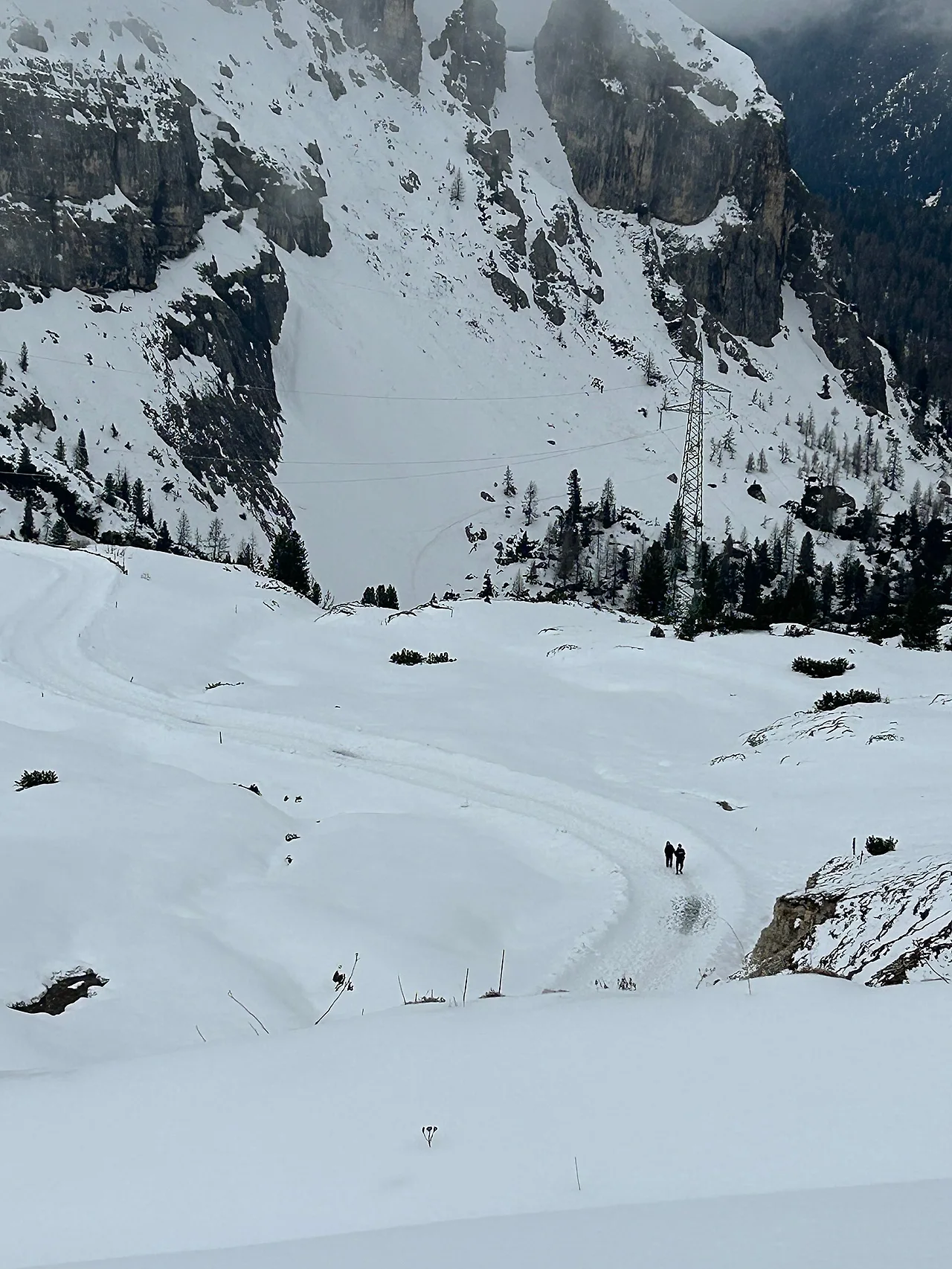 IMG_3245.jpg?type=w1600