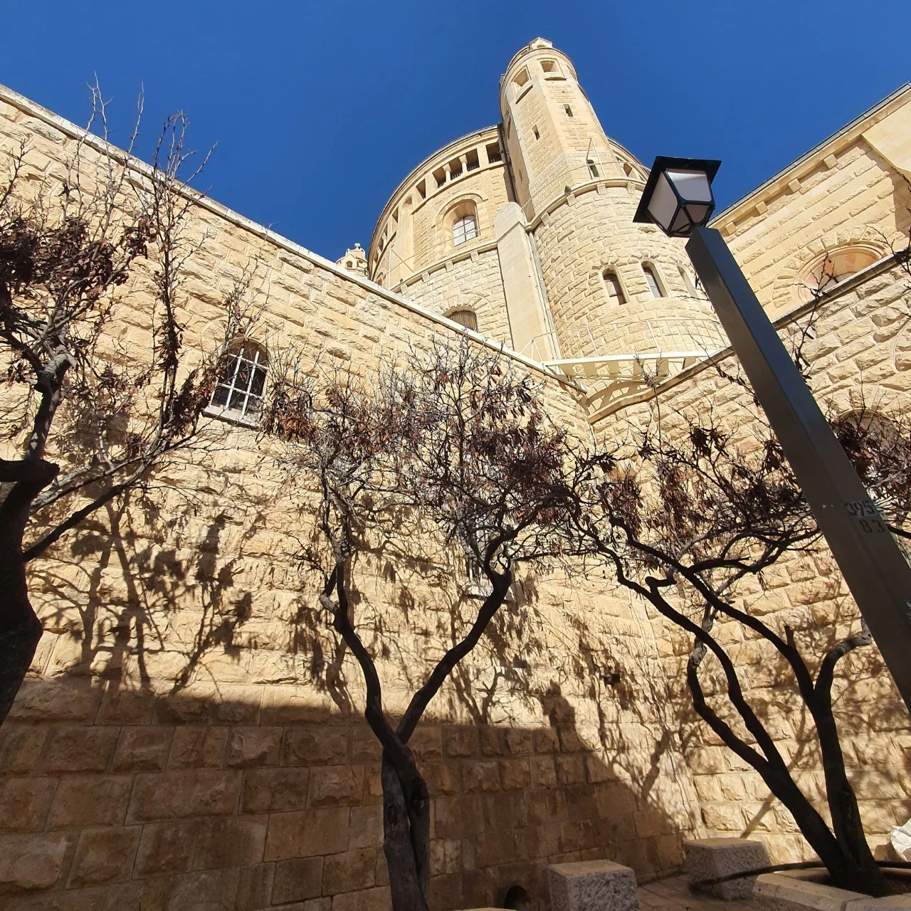 20230222%EF%BC%BF085827.jpg?type=w1600