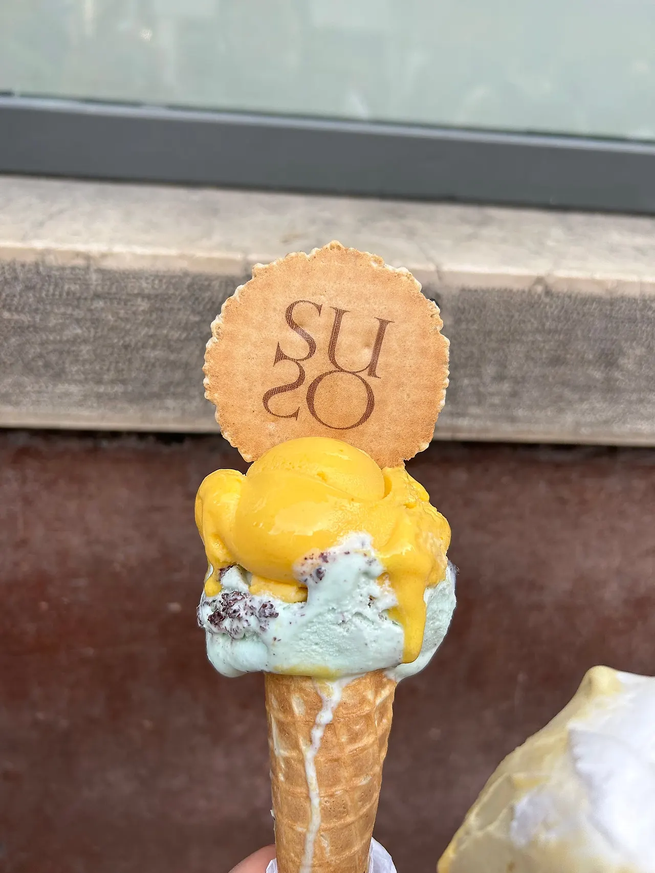 IMG_3472.jpg?type=w1600