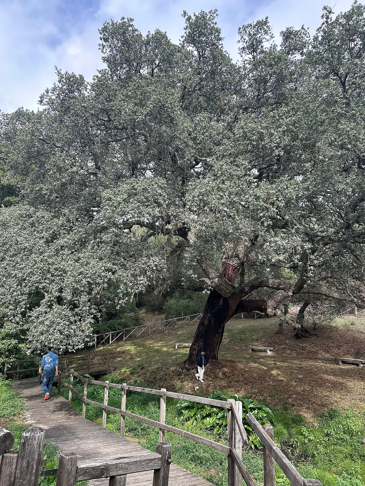 IMG%EF%BC%BF1517.jpg?type=w1600