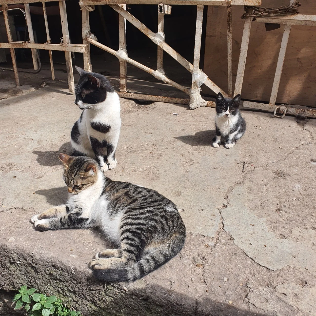 20230401%EF%BC%BF114407.jpg?type=w1600