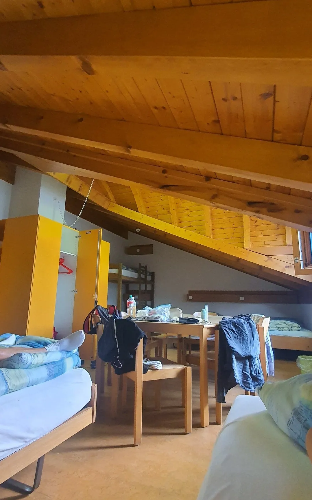 1723995115611.jpg?type=w1600