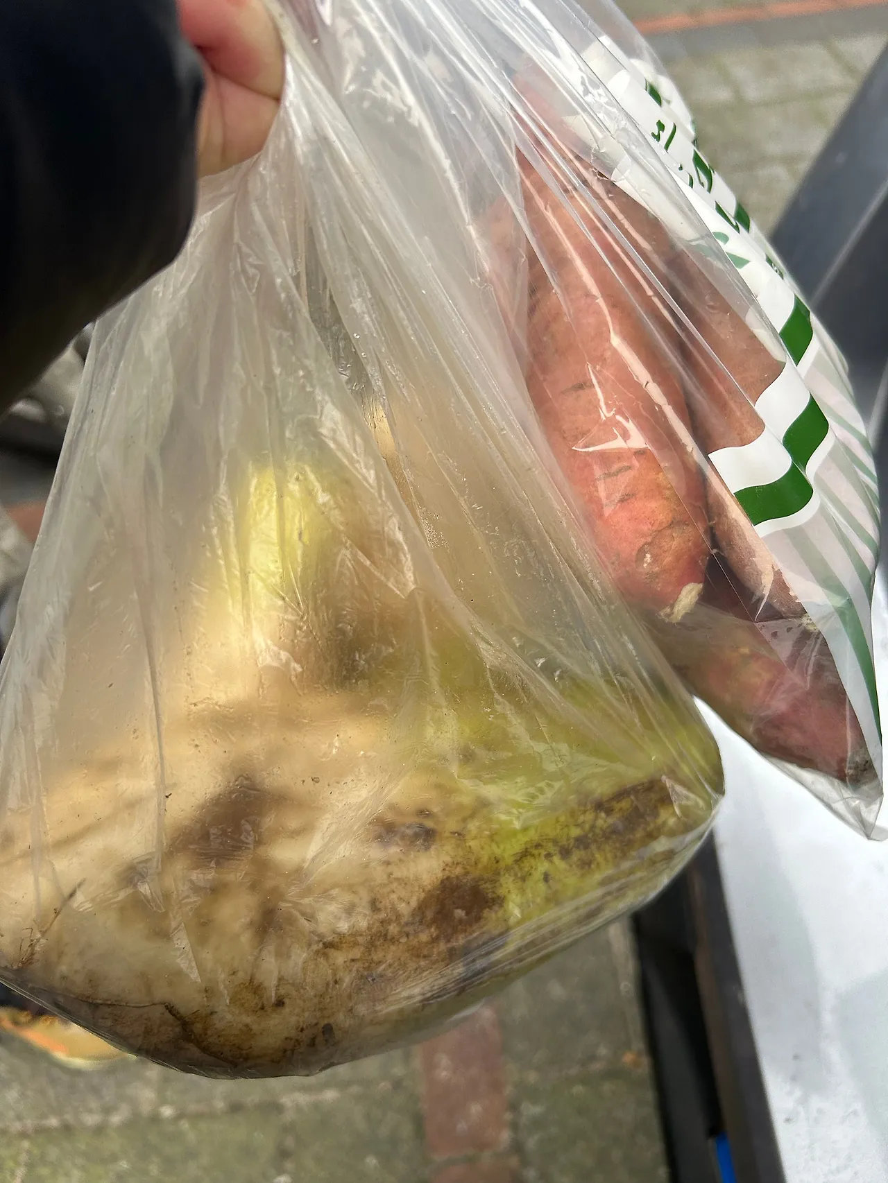 IMG_1919.jpg?type=w1600