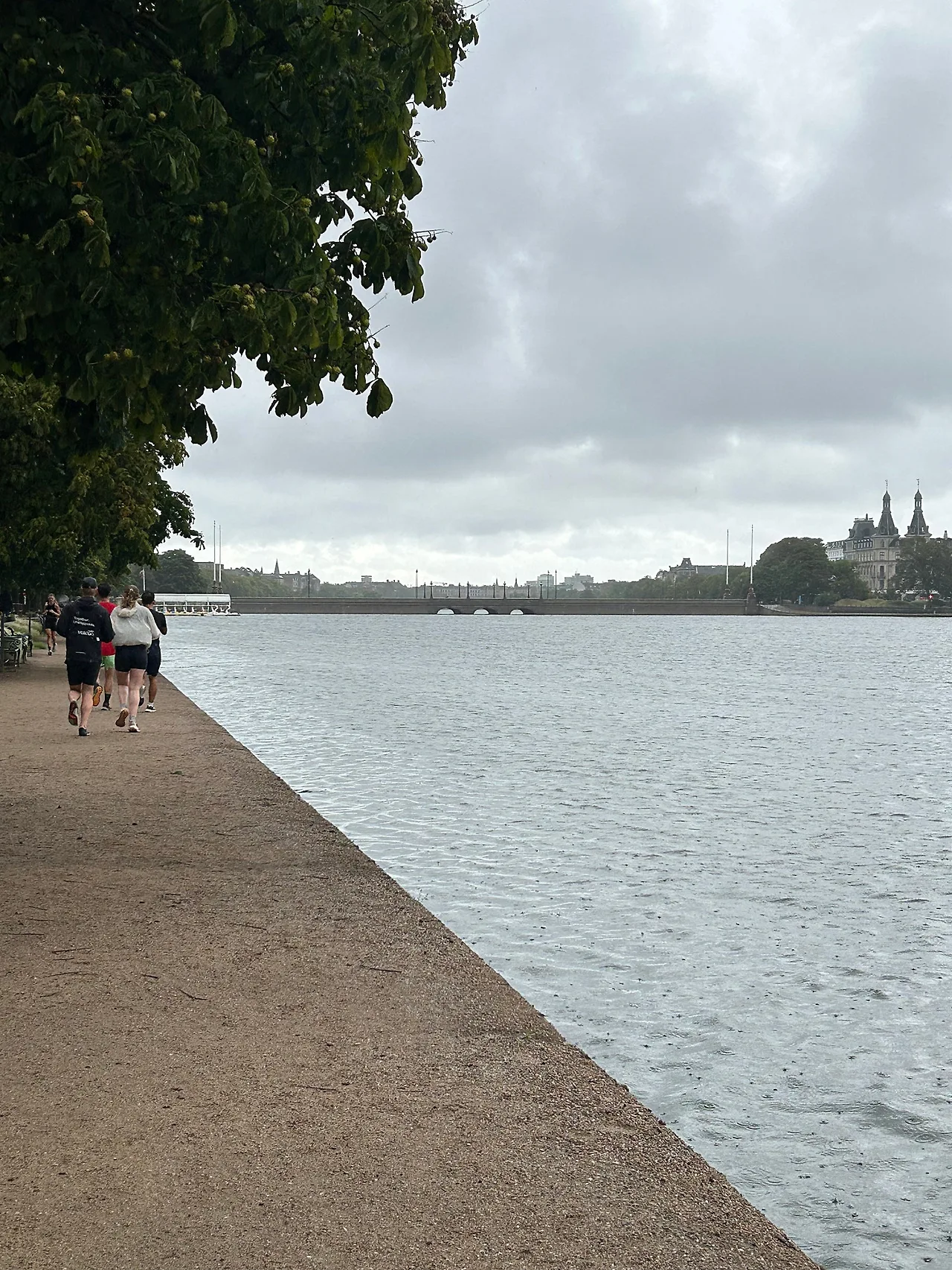 IMG%EF%BC%BF8151.jpg?type=w1600