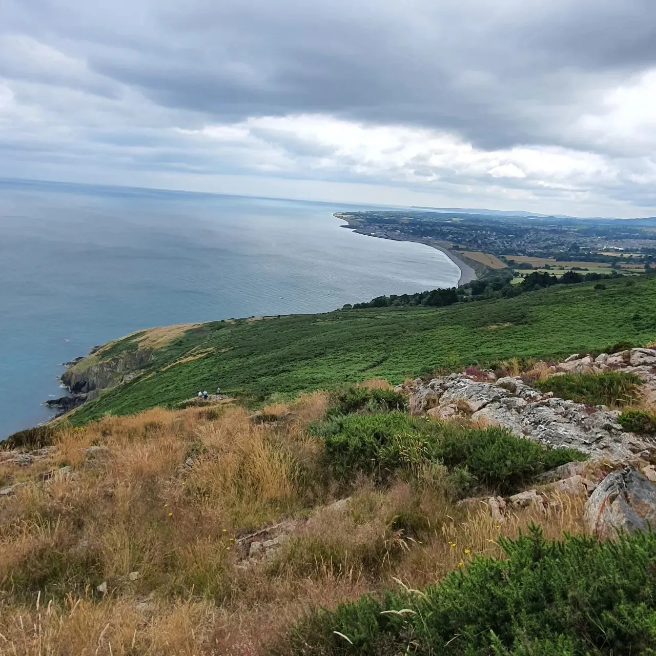 20240716%EF%BC%BF142337.jpg?type=w1600