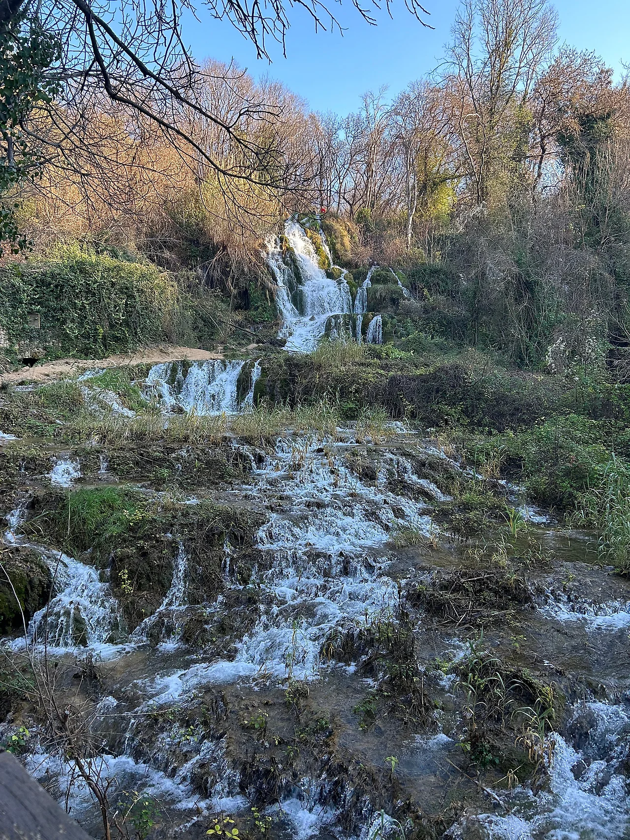 IMG_1037.jpg?type=w1600