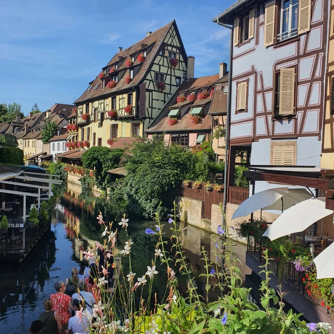 20240806%EF%BC%BF102214.jpg?type=w1600