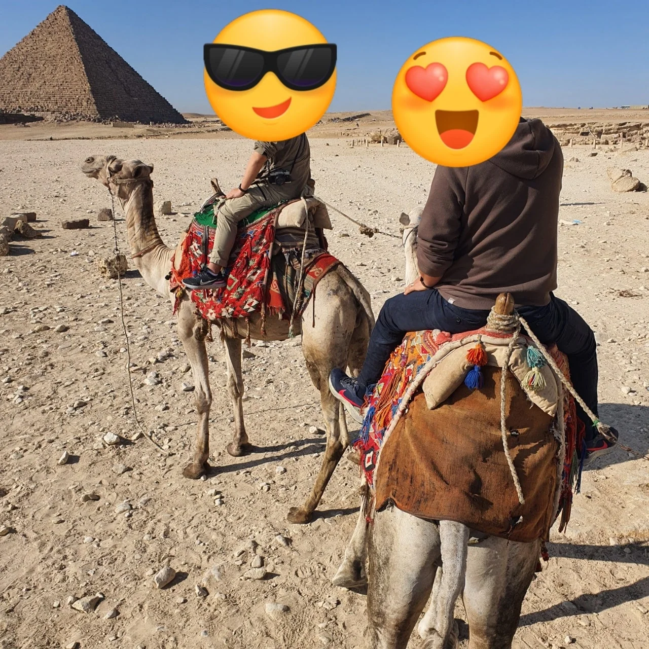 1705267491510.jpg?type=w1600