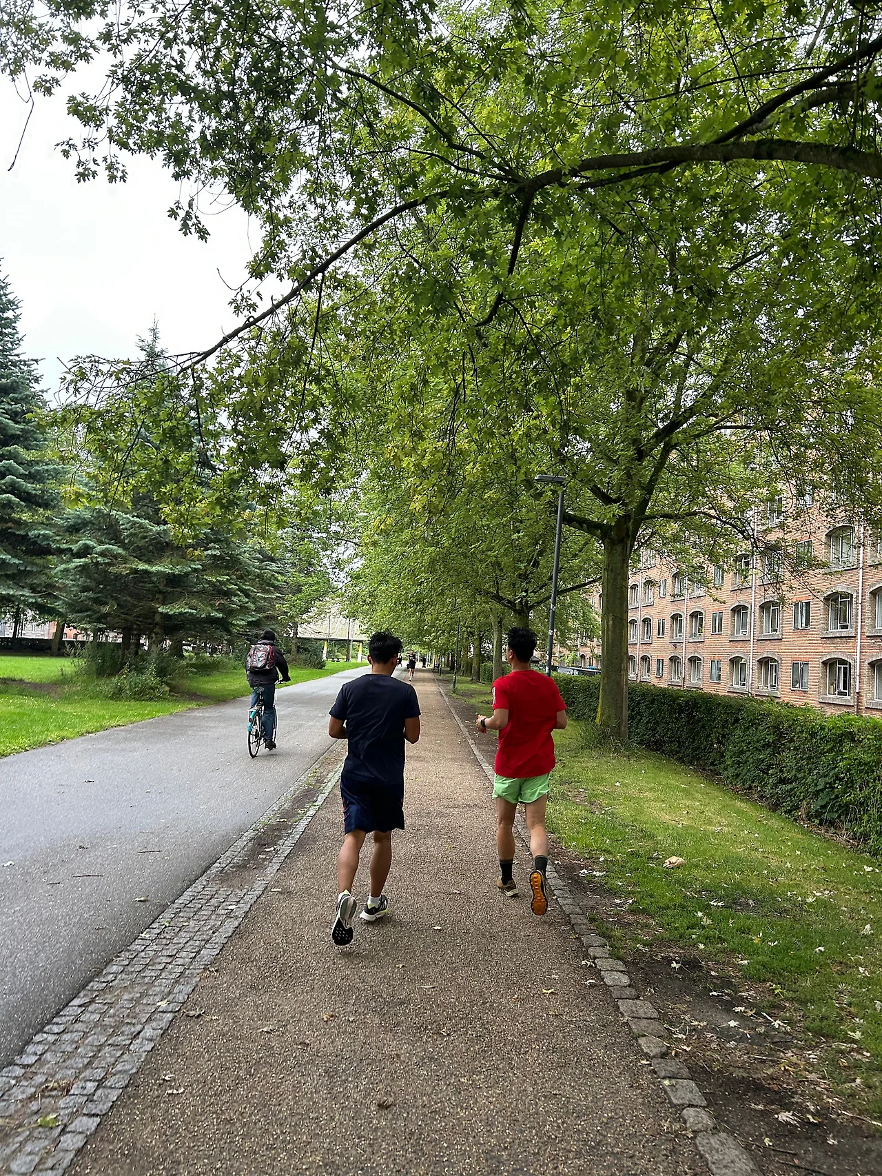 IMG%EF%BC%BF8150.jpg?type=w1600