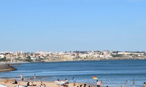 AF1QipNL0q2v-jsUbiWjQUj_rAZ-ktsGyw3s1fiZvMkF=w900-h900-k-no-p%22&type=ff500_300