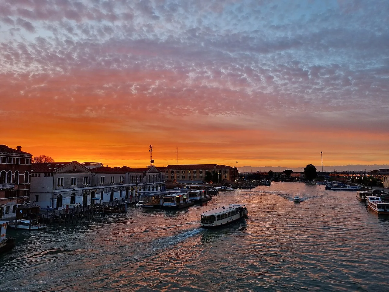 IMG_3658.JPG?type=w1600