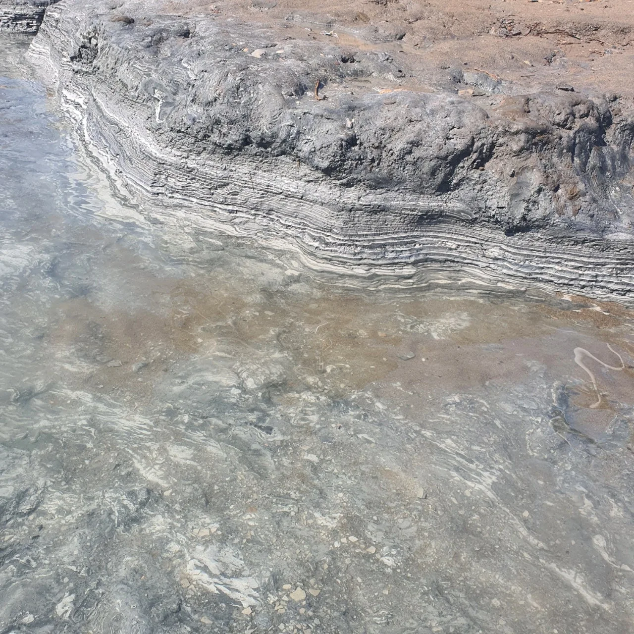 20230223%EF%BC%BF101208.jpg?type=w1600