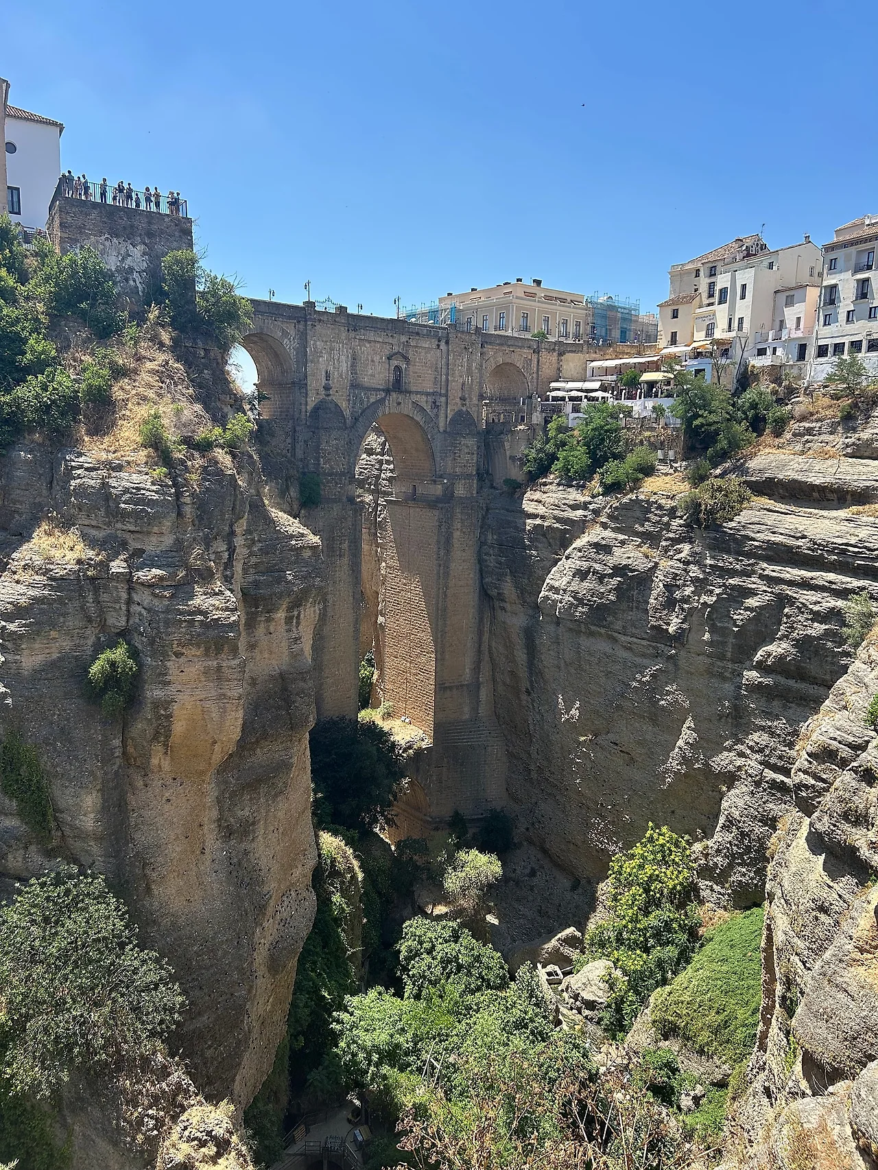 IMG%EF%BC%BF7360.jpg?type=w1600