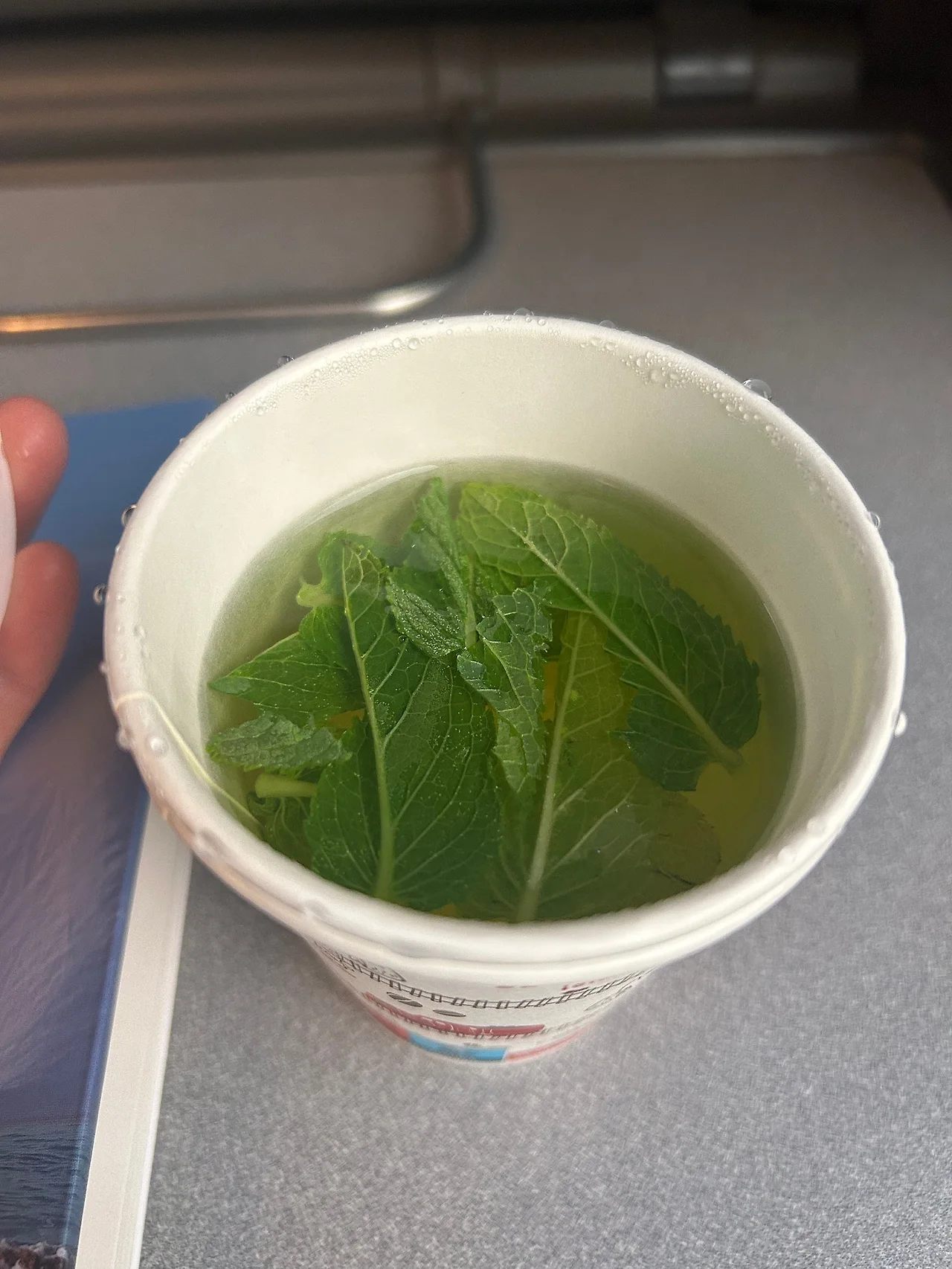 IMG%EF%BC%BF4558.jpg?type=w1600