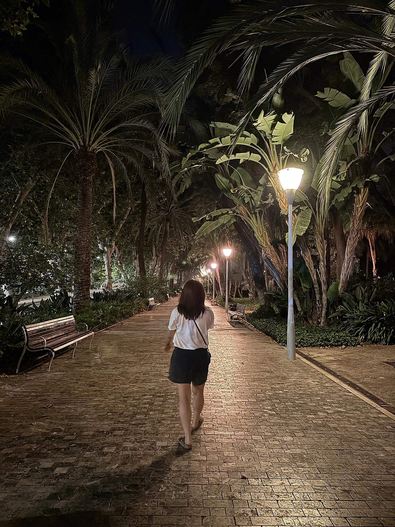 IMG%EF%BC%BF0736.jpg?type=w1600