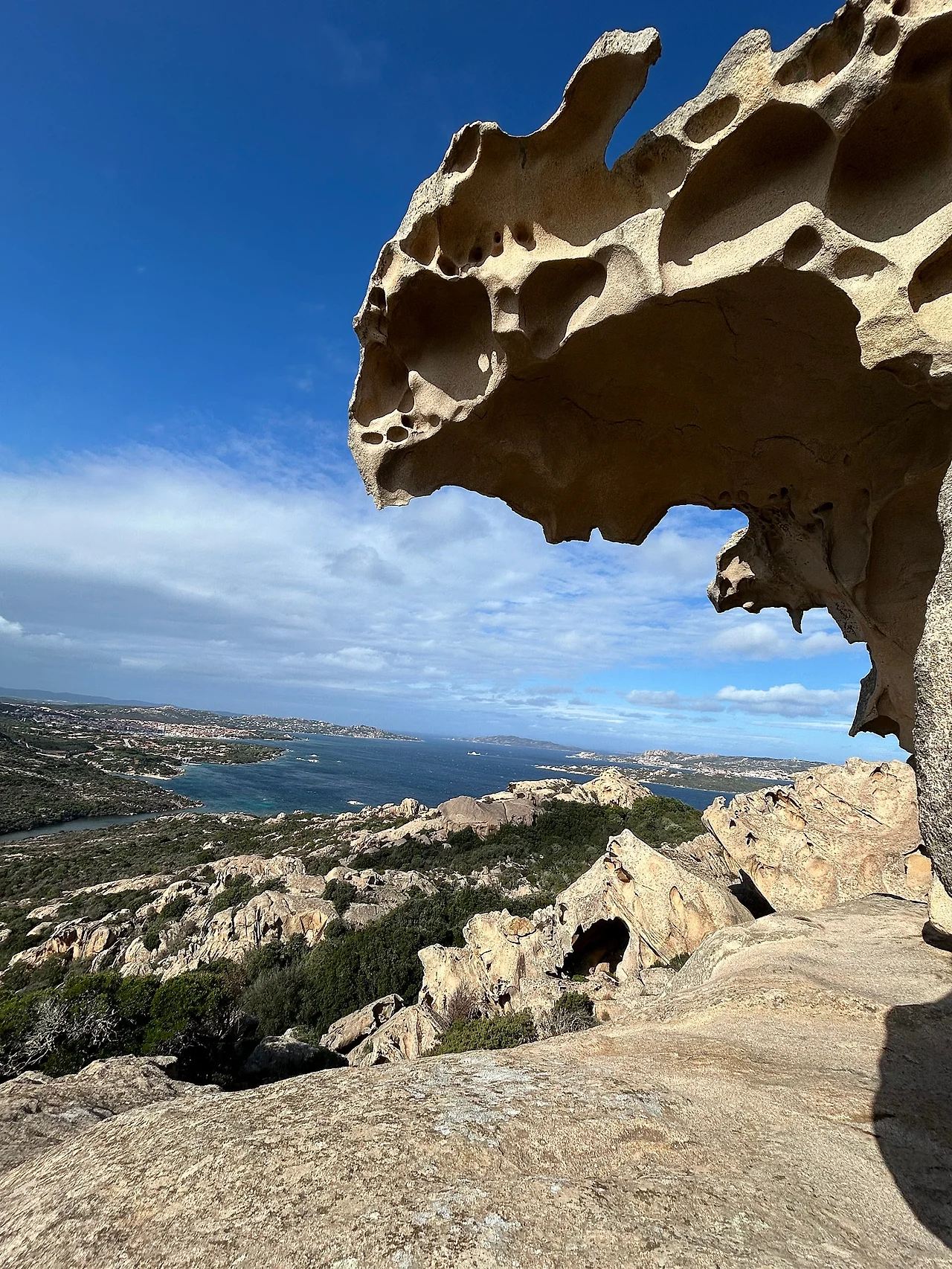 IMG%EF%BC%BF1625.jpg?type=w1600