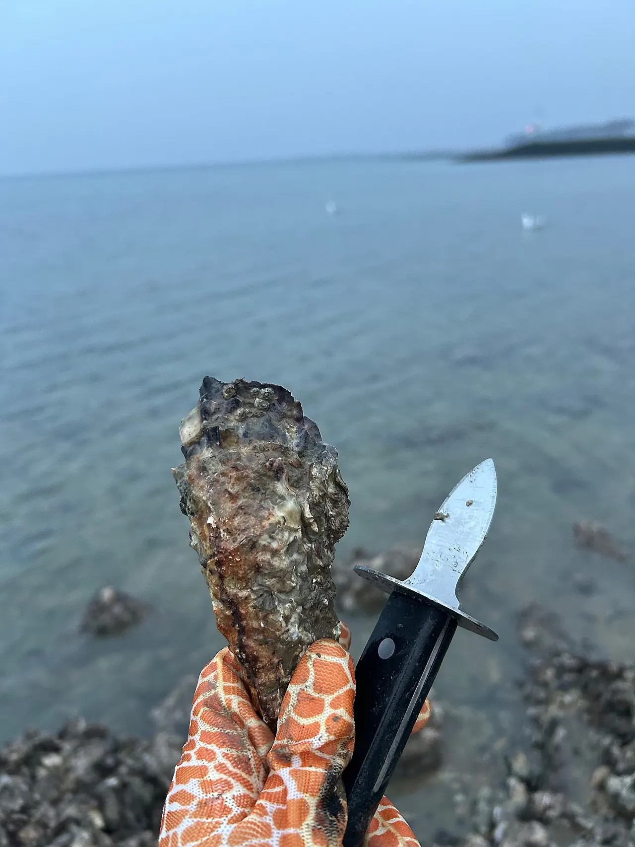 IMG_2001.jpg?type=w1600