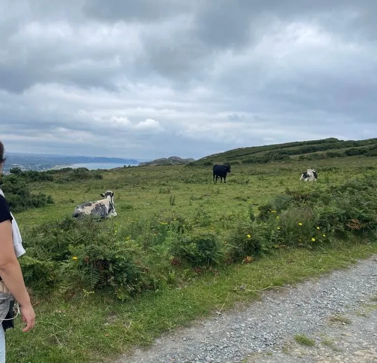 1721325814814.jpg?type=w1600