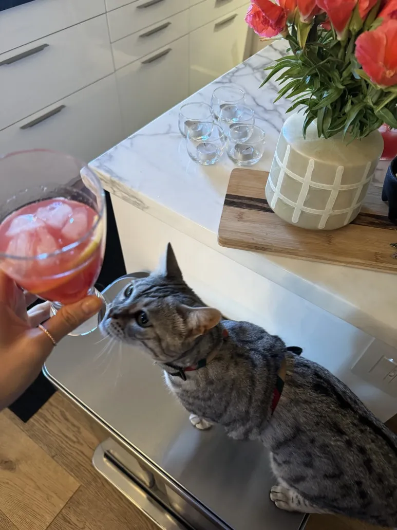 IMG_0075.jpg?type=w773