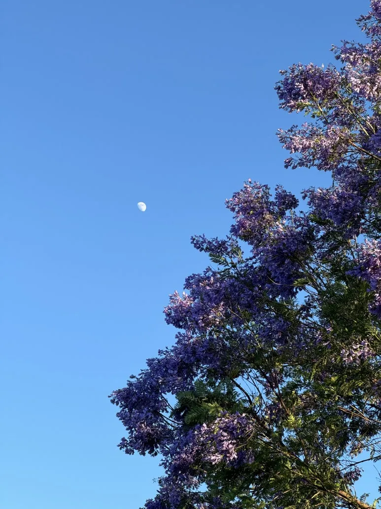 IMG_0300.jpg?type=w773