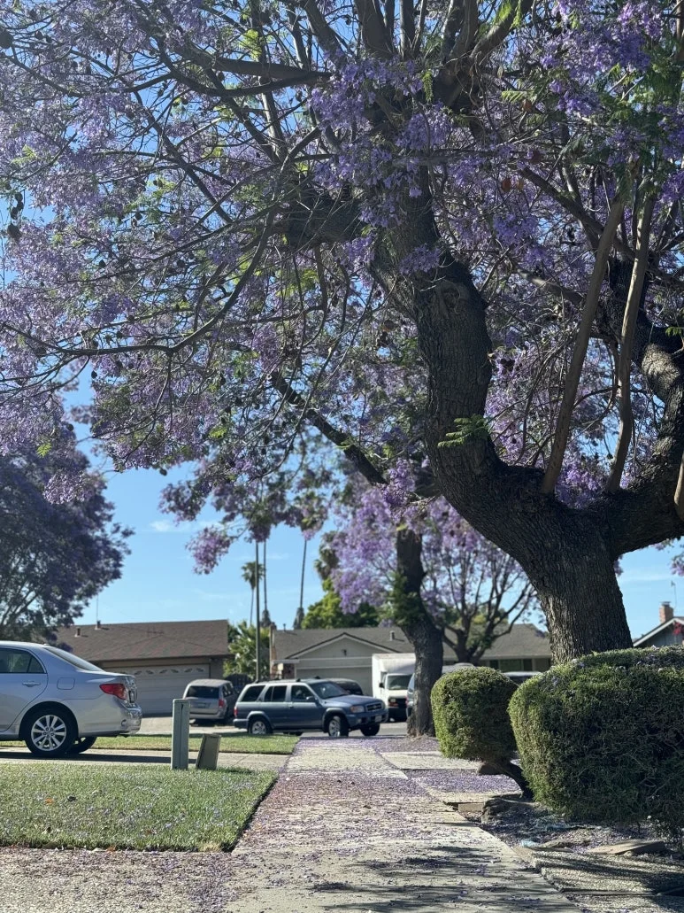 IMG_0311.jpg?type=w773