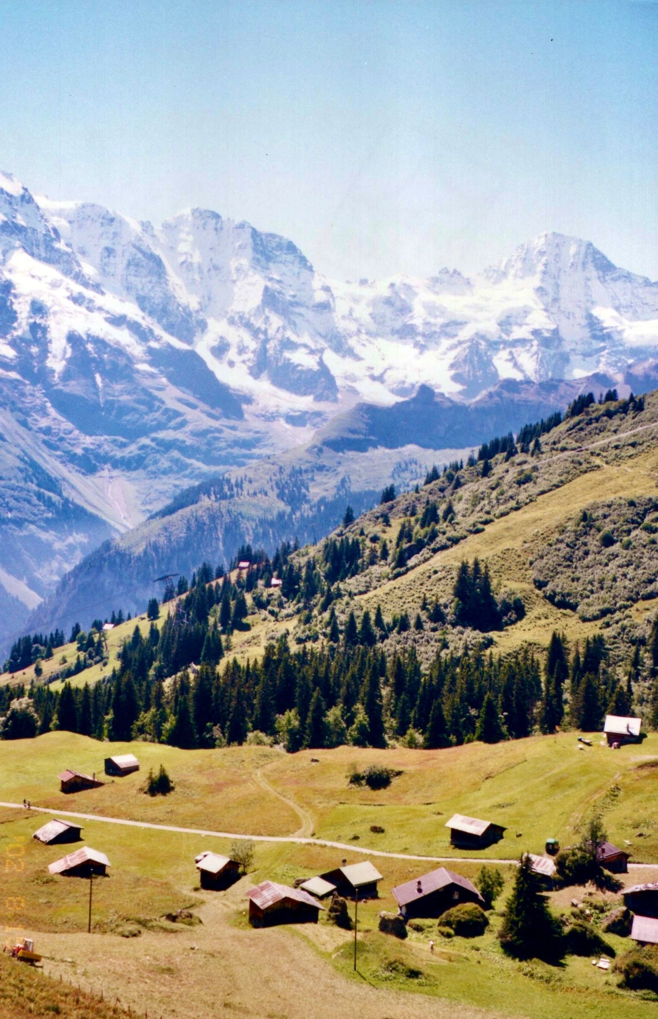 img20220113_13001412 (1).jpeg