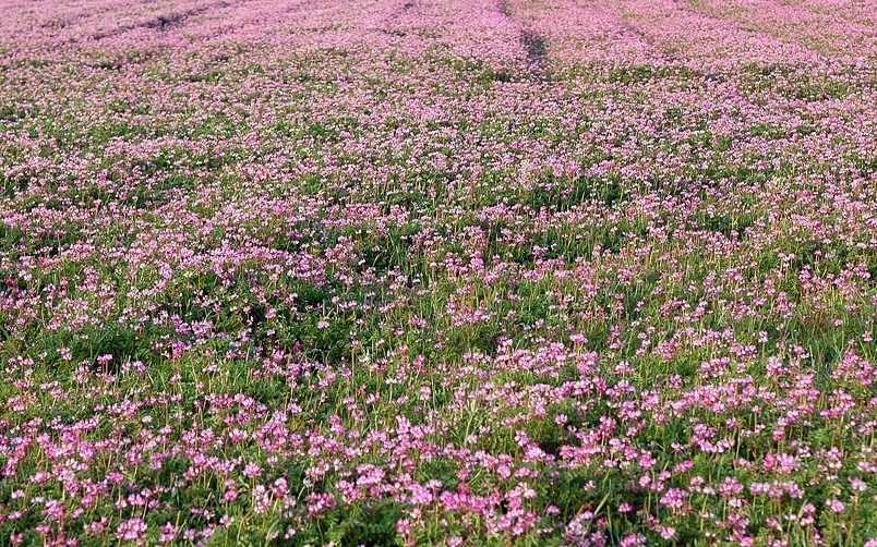 SE-fbd7b798-9b18-4630-ab95-8e875d6b7930.jpg?type=w1600