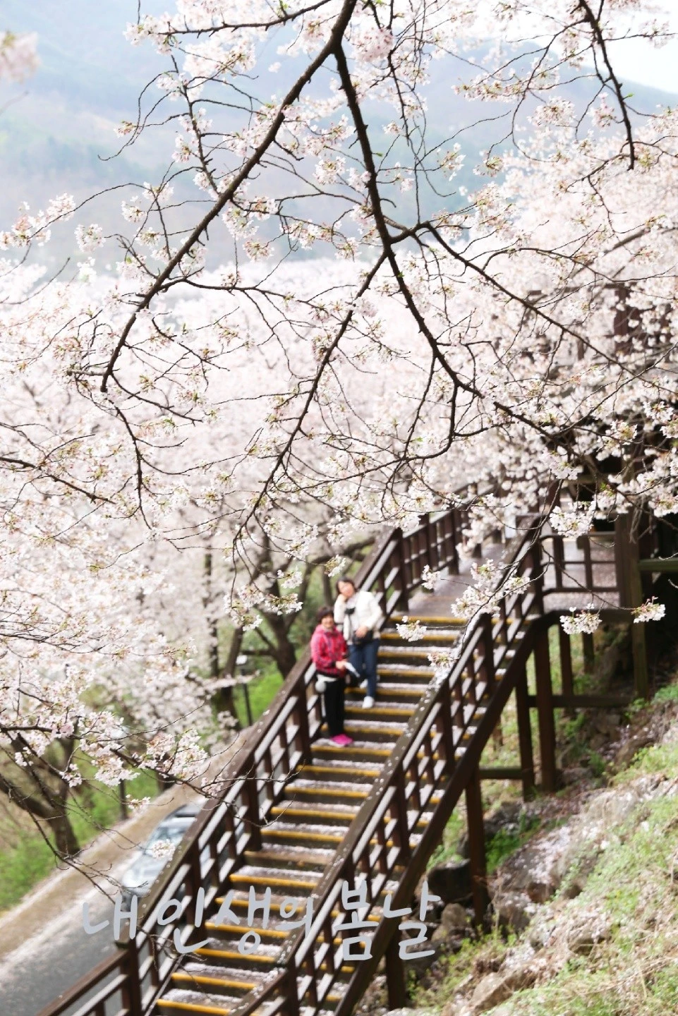 KakaoTalk_20211015_144507148.jpg?type=w1600