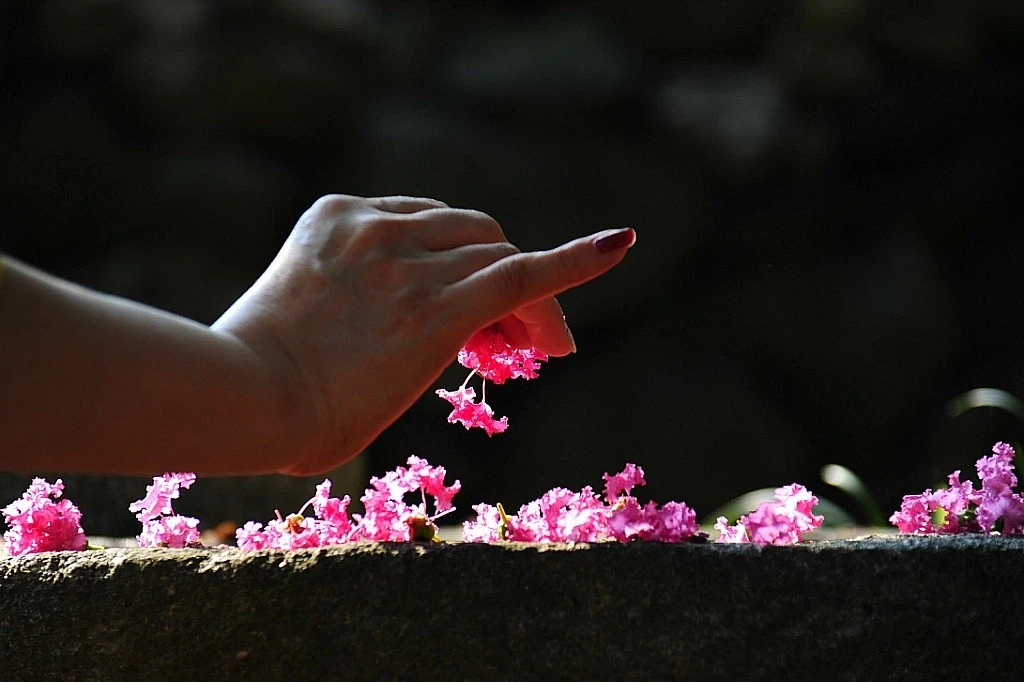 BandPhoto_2019_08_06_21_29_21.jpg?type=w1600