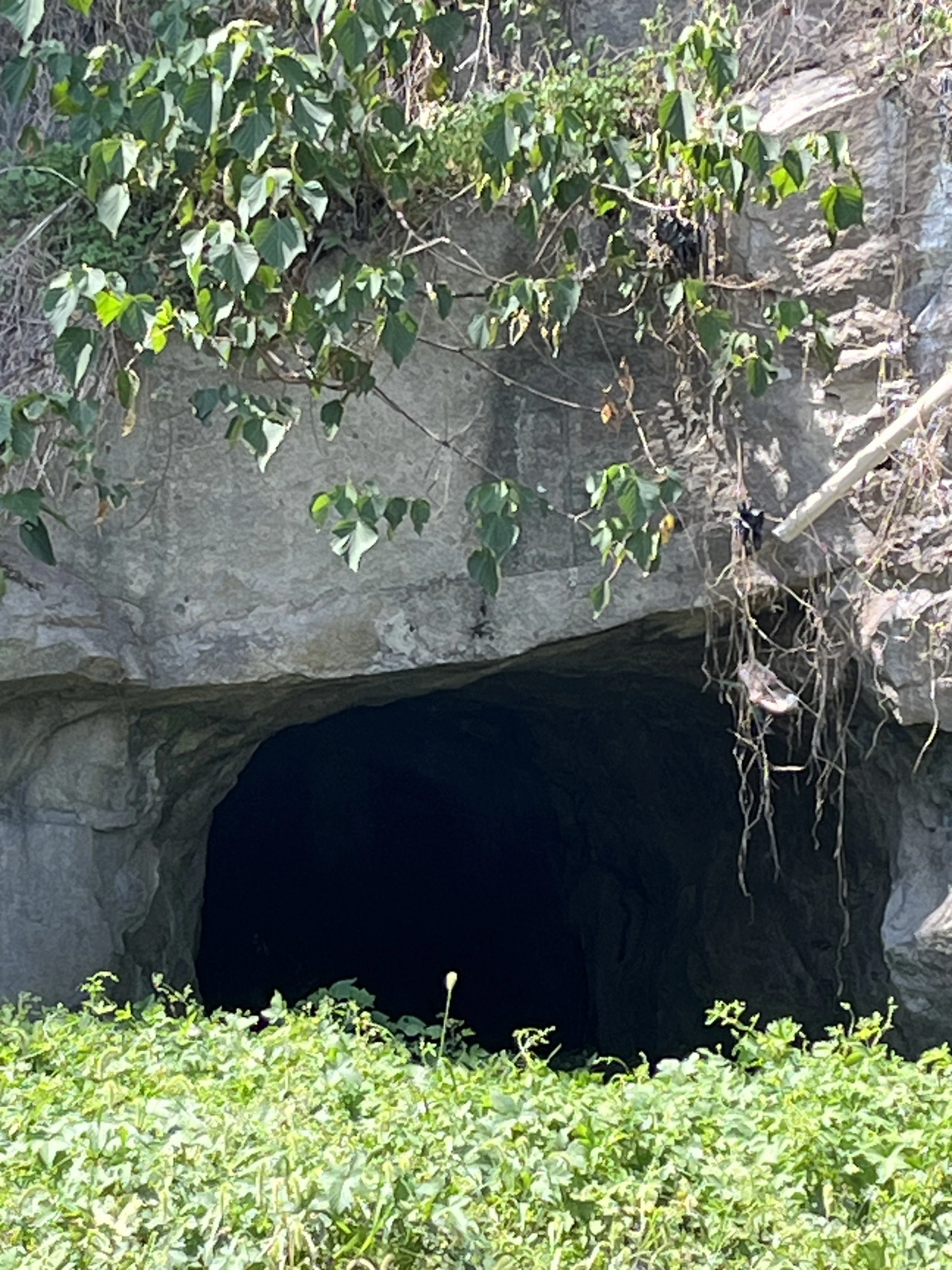 보리마당 동굴1.HEIC