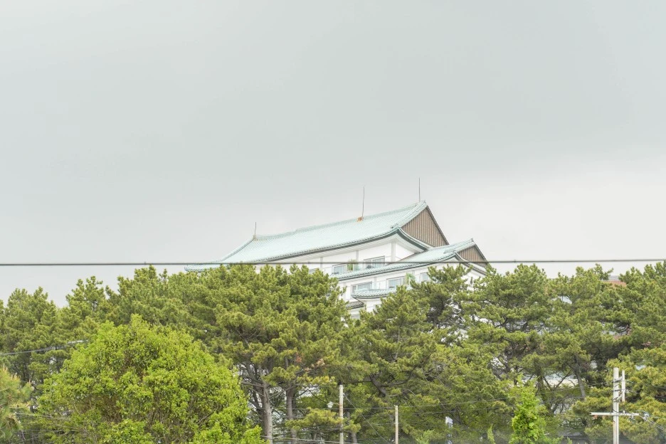 DSC02593.jpg?type=w1