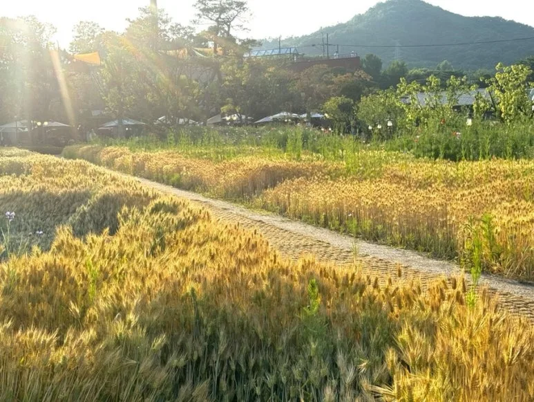 IMG_7367.JPG?type=w773