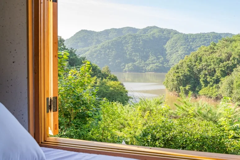 DSC04188-2.jpg?type=w773