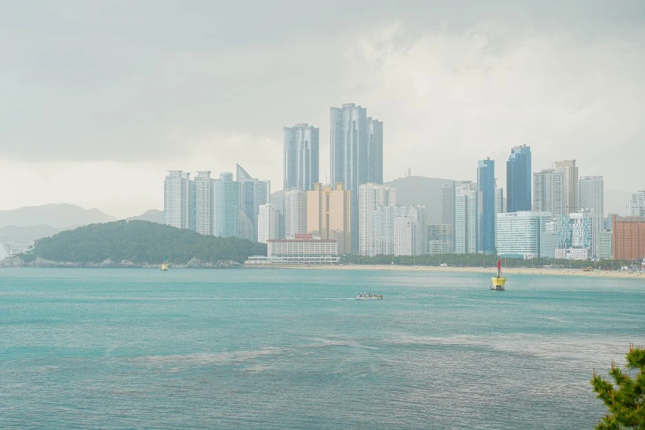 DSC02592.jpg?type=w1