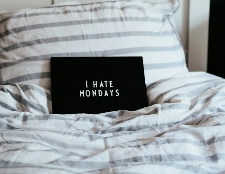 SE-96482751-14d9-4b42-95da-b2613a25be44.jpg?type=w773