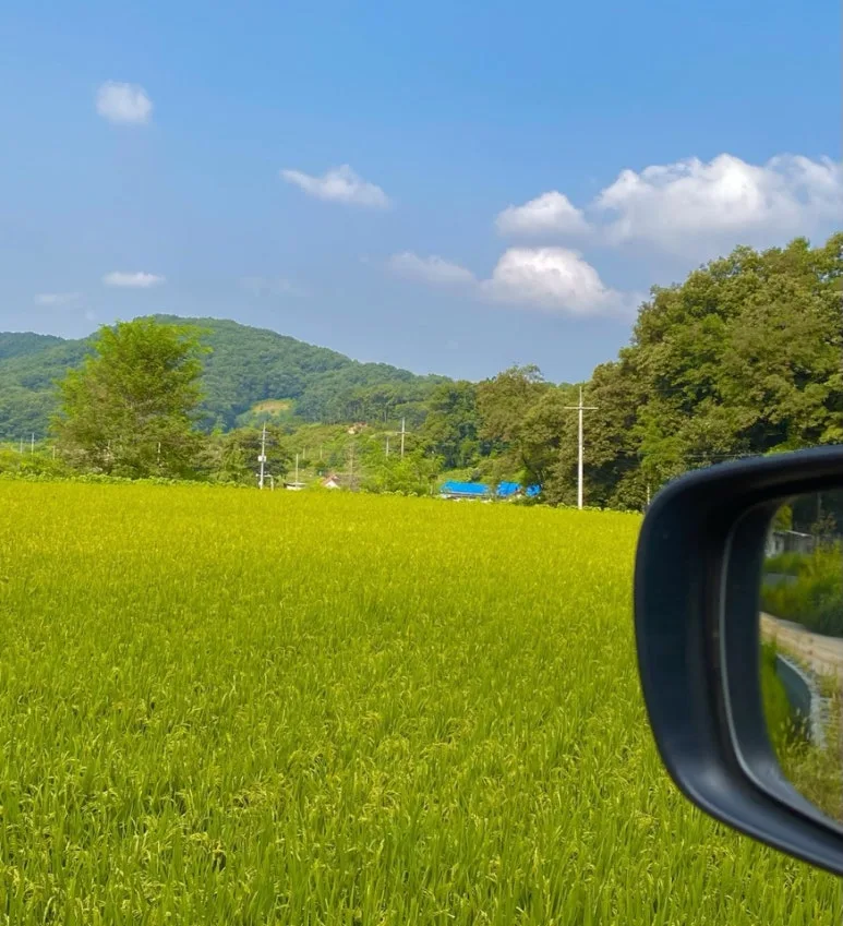 IMG_7366.JPG?type=w773