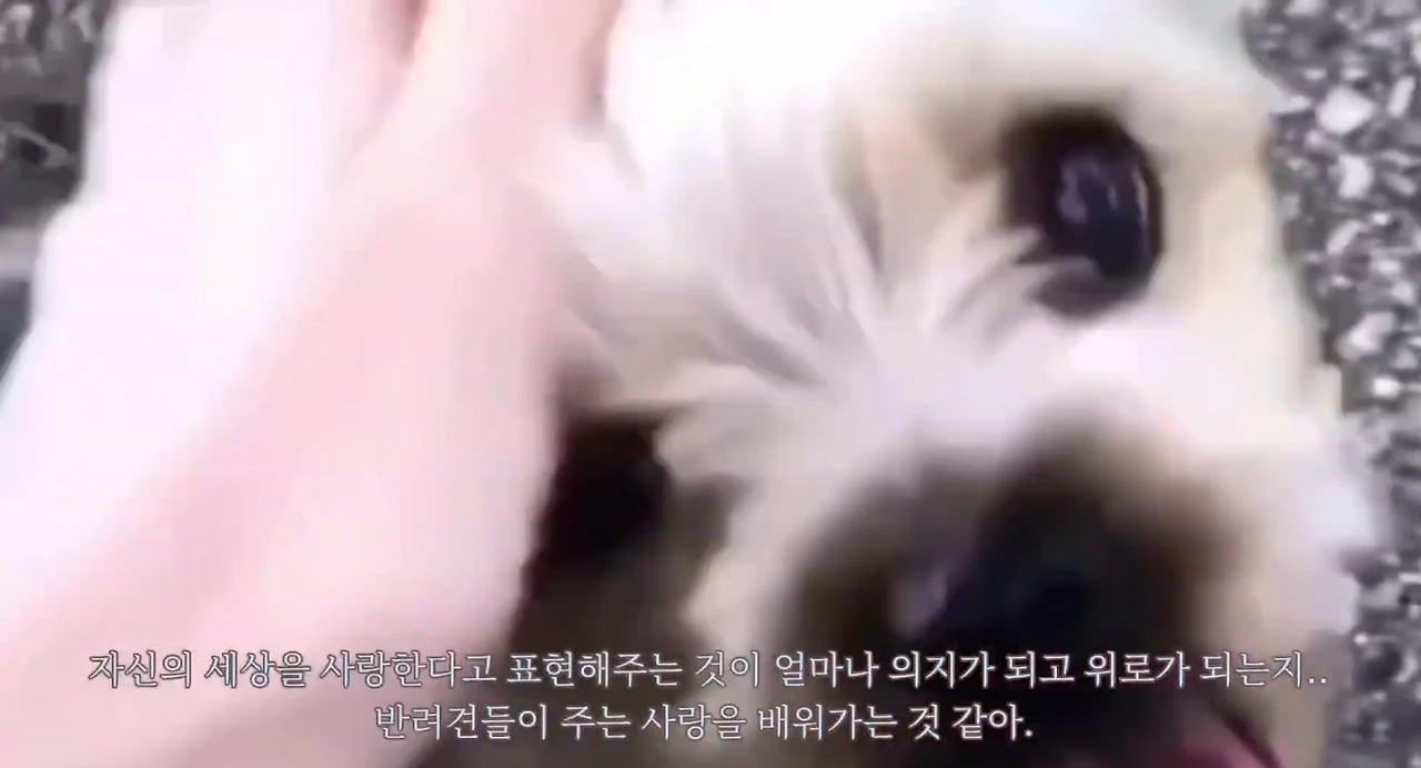 AD_4nXe3CFrySzLyvPVkWn3U0kZqxVxBW6v64gBq6ZYC7kJ43ys8zHooeJfcpvR_yIwWJoZ44B4jeqnTWmrlelsgzdAy-Wqg23OHfkMts4csROmklAFKlIHo65N_8bN4kjADB9DrSGJm4A?key=Qhc_3BFh_Bve0XJyH6MSsPIE