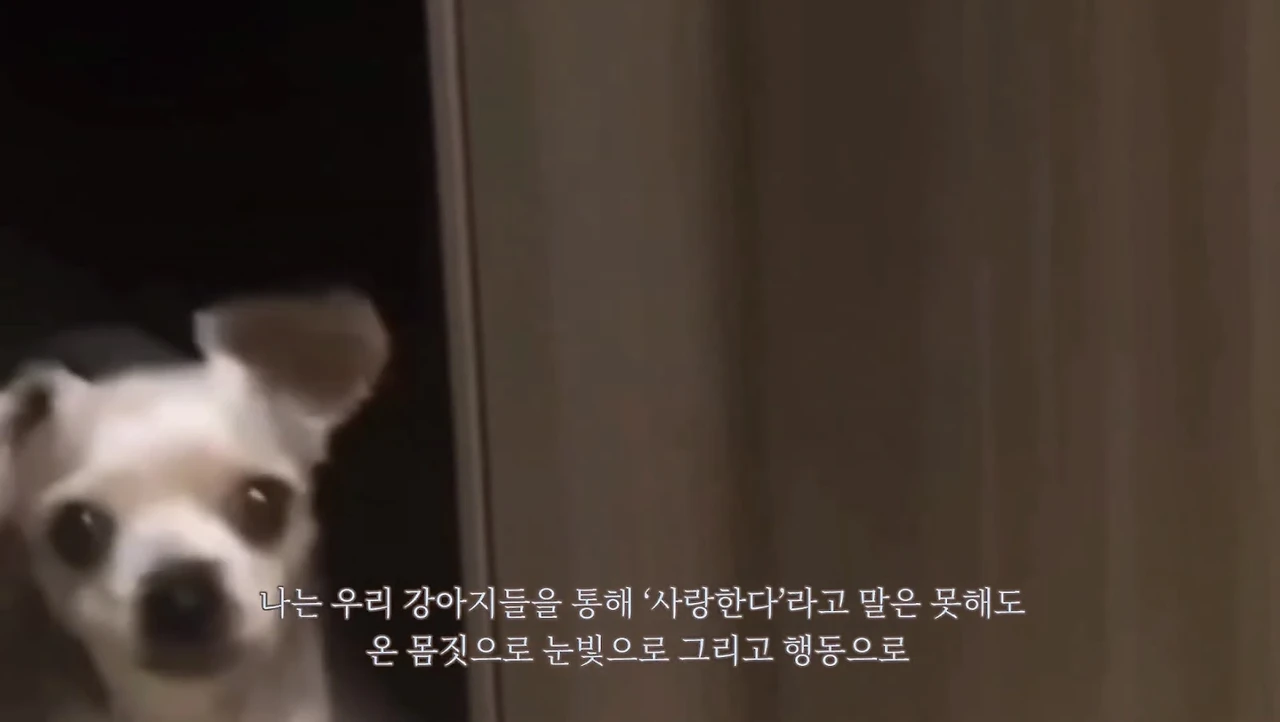 AD_4nXcya3z_xmoHQpZRVuZrJVOGyc74IEBgP0W5nDlV79DsQAbT-cqx15JfwbXn6M41b0jSNWlGehkqgOJ1k1N3VQ9Vi4IrPql---dDzgJgq9BpnUpqT7_d4jNWu_vbCx93lOEbNsPqSA?key=Qhc_3BFh_Bve0XJyH6MSsPIE