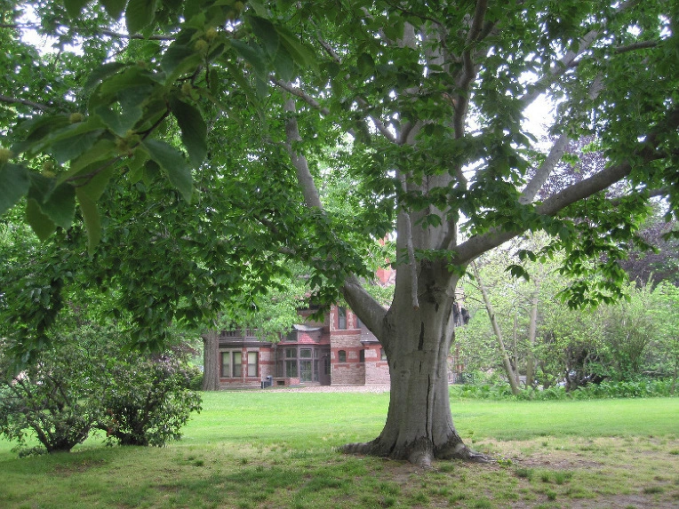 7f99df7dcd33683c47dbb34ec7deef9d9ac2af4f