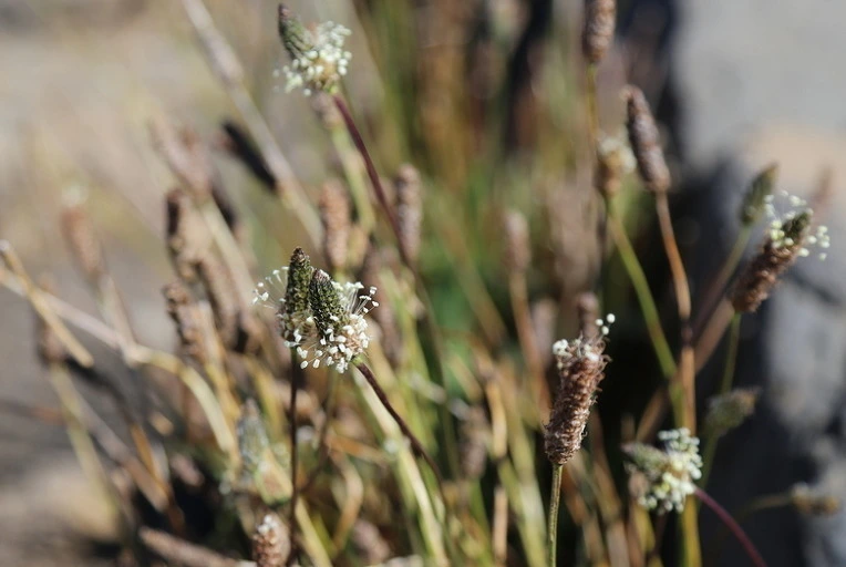 5d724462171590a51a00c981a64879cbcfbce635