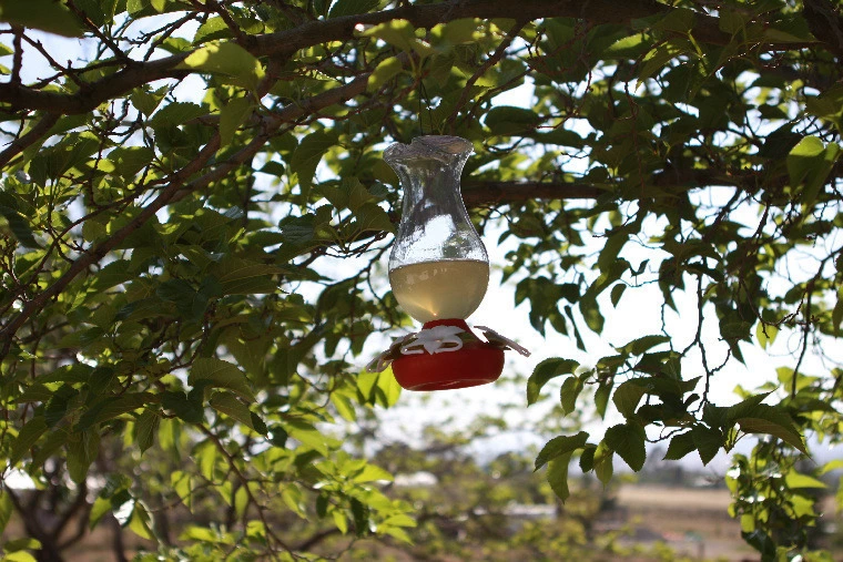 b9f9245c752cf0b56a8e0c872e7d937b3d754208